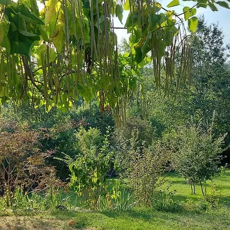 Bed & Breakfast Le Pomodor